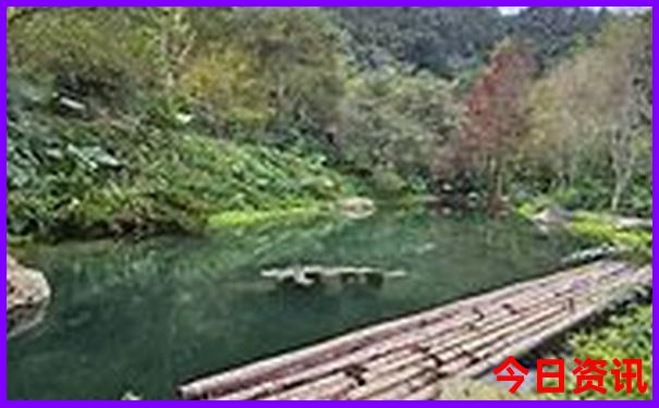 北京旅游团报名哪个平台好